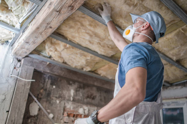 Best Insulation Materials and Products in Siesta Shores, TX