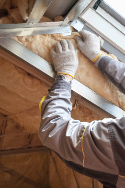 Best Insulation Maintenance and Repair in Siesta Shores, TX